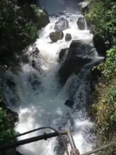 以撒的结合：胎衣