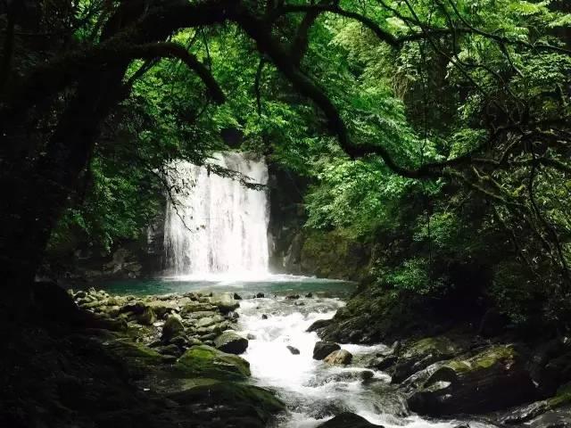 水疗中心
