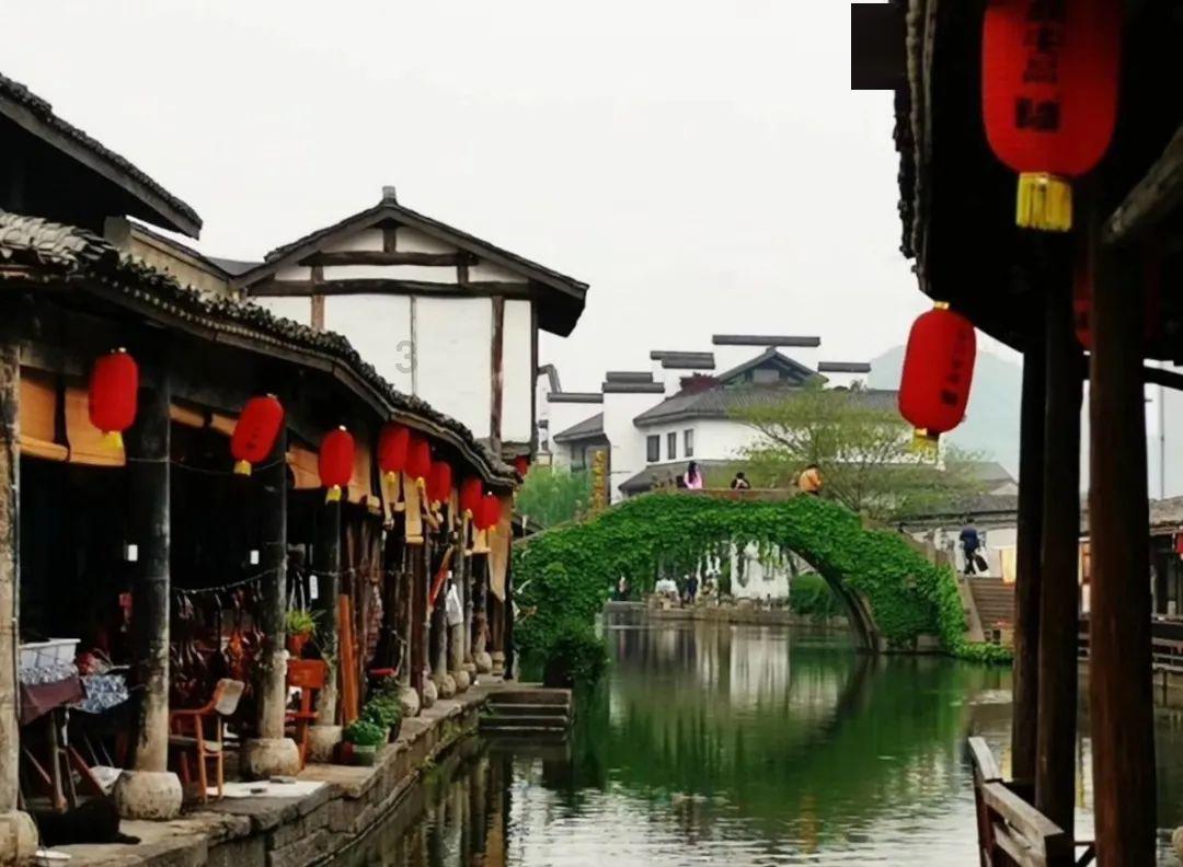 逃离蜥蜴森林